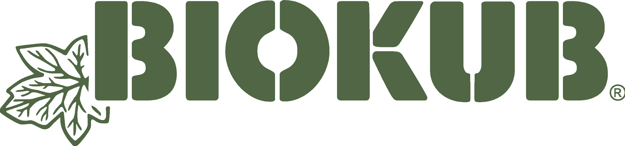 biokub logo